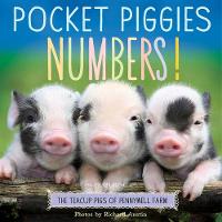 Jacket image for Pocket Piggies Numbers!