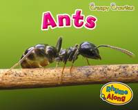 Jacket image for Ants