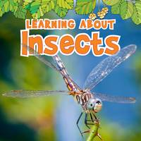 Jacket image for Learning About Insects
