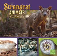Jacket image for The Strangest Animals in the World