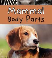 Jacket image for Mammal Body Parts