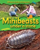 Jacket image for Minibeasts Under a Stone