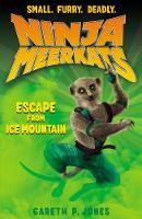 Jacket image for The Escape from Ice Mountain